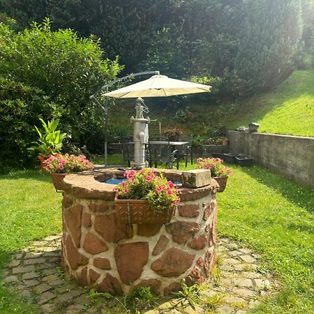 Elmstein Pension Ernst Im Herzen Des Pfaelzerwaldes Mit Kueche酒店 外观 照片