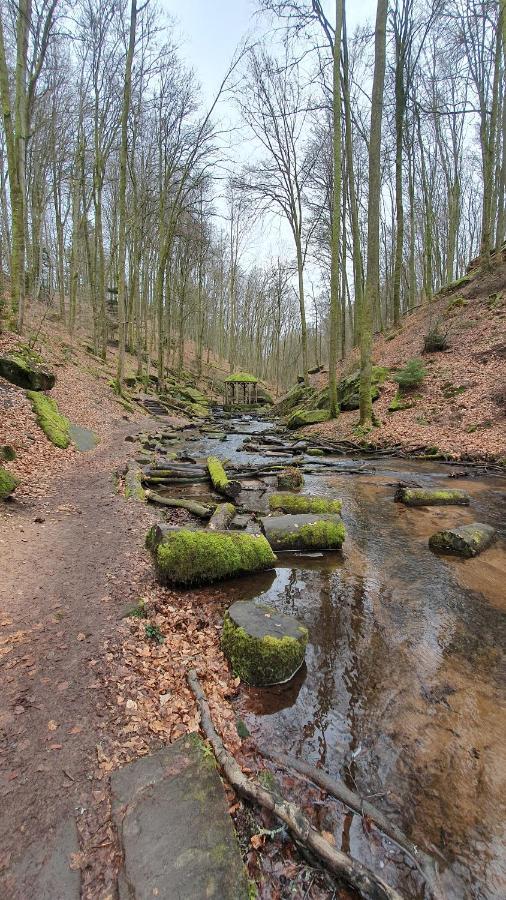 Elmstein Pension Ernst Im Herzen Des Pfaelzerwaldes Mit Kueche酒店 外观 照片