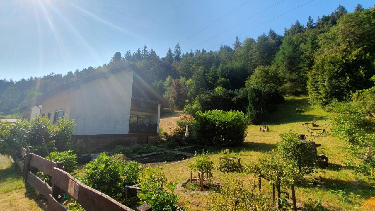 Elmstein Pension Ernst Im Herzen Des Pfaelzerwaldes Mit Kueche酒店 外观 照片