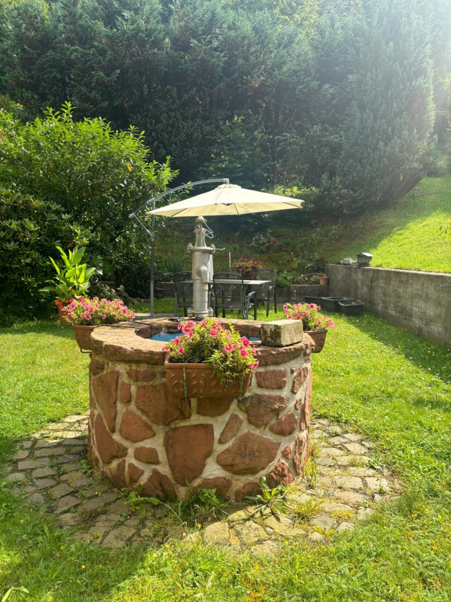 Elmstein Pension Ernst Im Herzen Des Pfaelzerwaldes Mit Kueche酒店 外观 照片