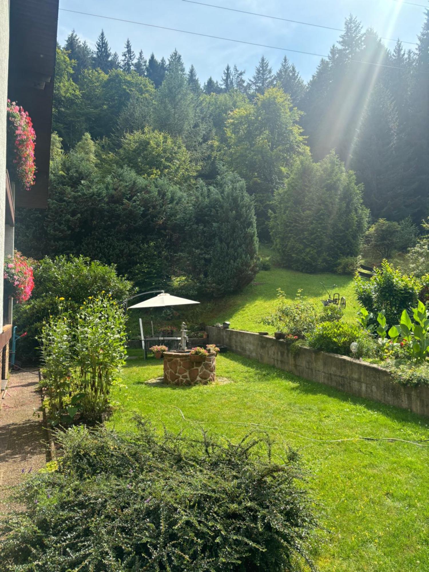 Elmstein Pension Ernst Im Herzen Des Pfaelzerwaldes Mit Kueche酒店 外观 照片
