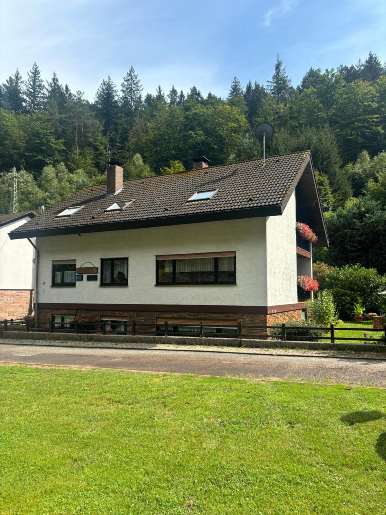 Elmstein Pension Ernst Im Herzen Des Pfaelzerwaldes Mit Kueche酒店 外观 照片